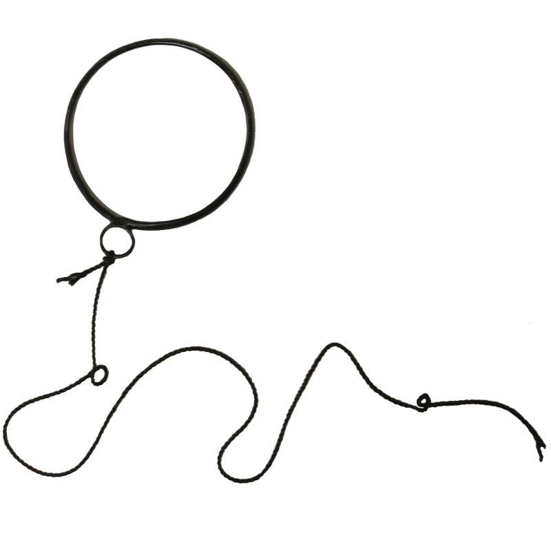 Monocle On String 1629