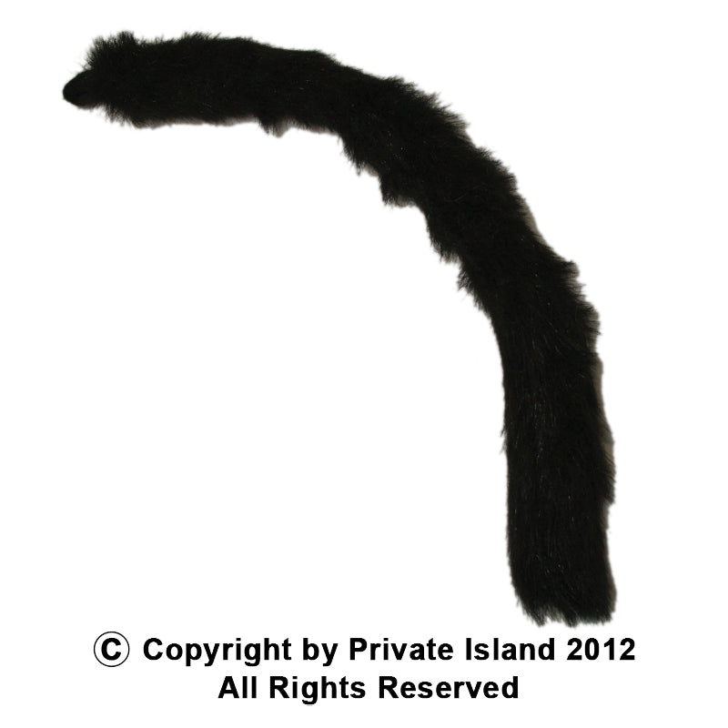 Cat Tail Black 12 PACK WS1678D