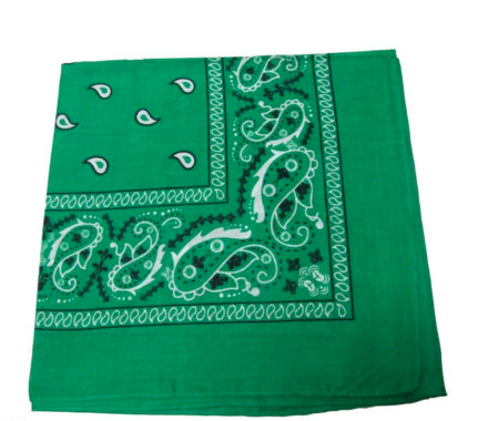 Green Paisley Bandanna 12 PACK 22" Square Standard 100% Cotton WS1930D